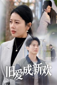 �ɰ����»�